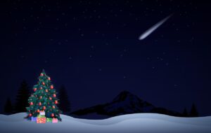 2025年のアレルギー対応おせちのおすすめランキングは？