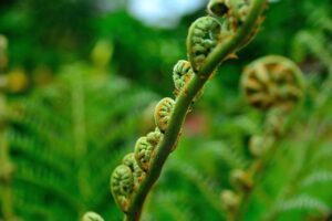 無添加おせちのキーワードリサーチで知っておくべきポイントは？